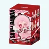 Blind box peluche style Skullpanda Winter Symphony
