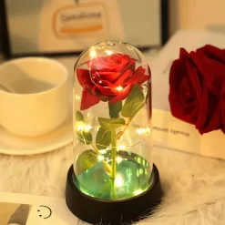 Cadeau St-Valentin lot d’ourson en roses avec sa rose éternelle