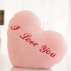 Oreiller lumineux en peluche