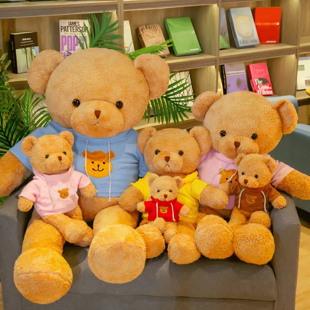 Ours en peluche avec pull