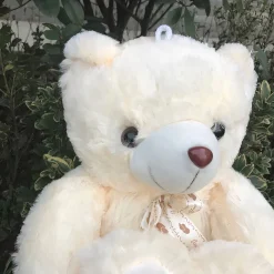 Ours en peluche poilu
