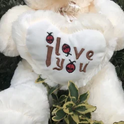 Ours en peluche poilu