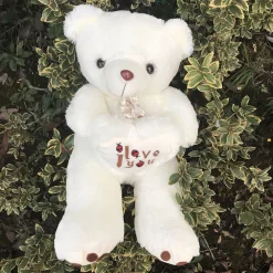 Ours en peluche poilu