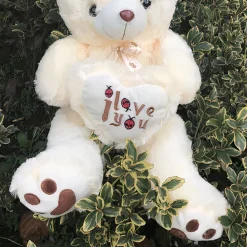 Ours en peluche poilu
