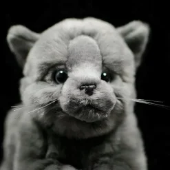Peluche chat britannique