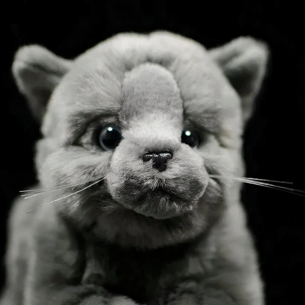 Peluche chat britannique