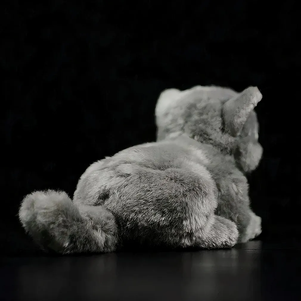 Peluche chat britannique