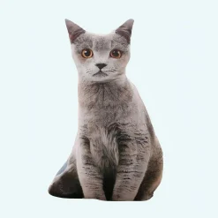 Peluche chat gris oreiller