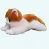 Peluche chaton marron