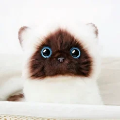 Peluche chaton siamois