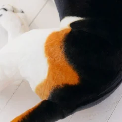 Peluche chien beagle