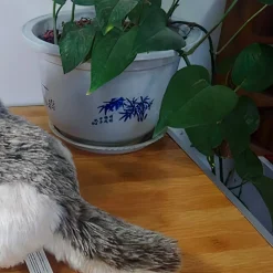 Peluche loup gris de Sibérie