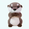 Peluche loutre debout
